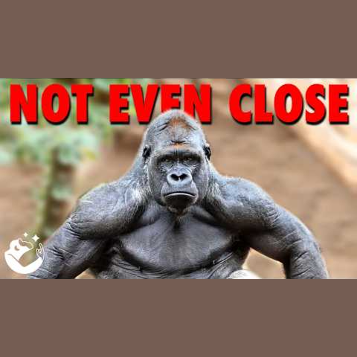 You Actually Think The Gorilla Has A Chance? episode artwork
