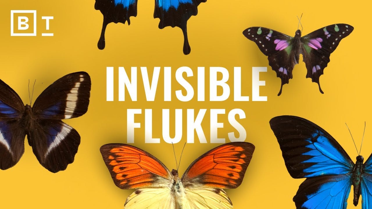 Everything does NOT happen for a reason | Brian Klaas Everything does NOT happen for a reason | Brian Klaas