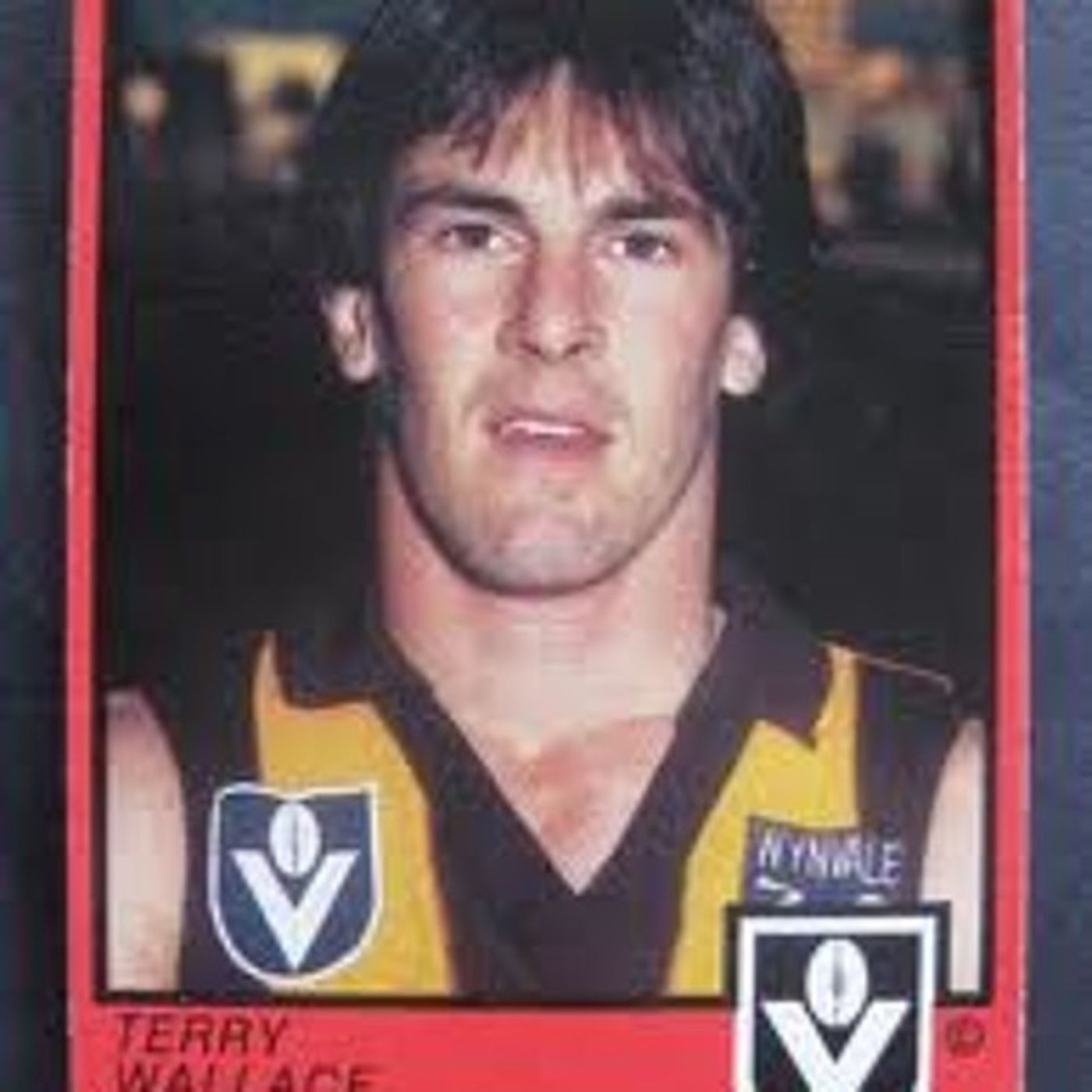 Rex Hunt Chats With Former Hawthorn Champion Terry Wallace episode artwork