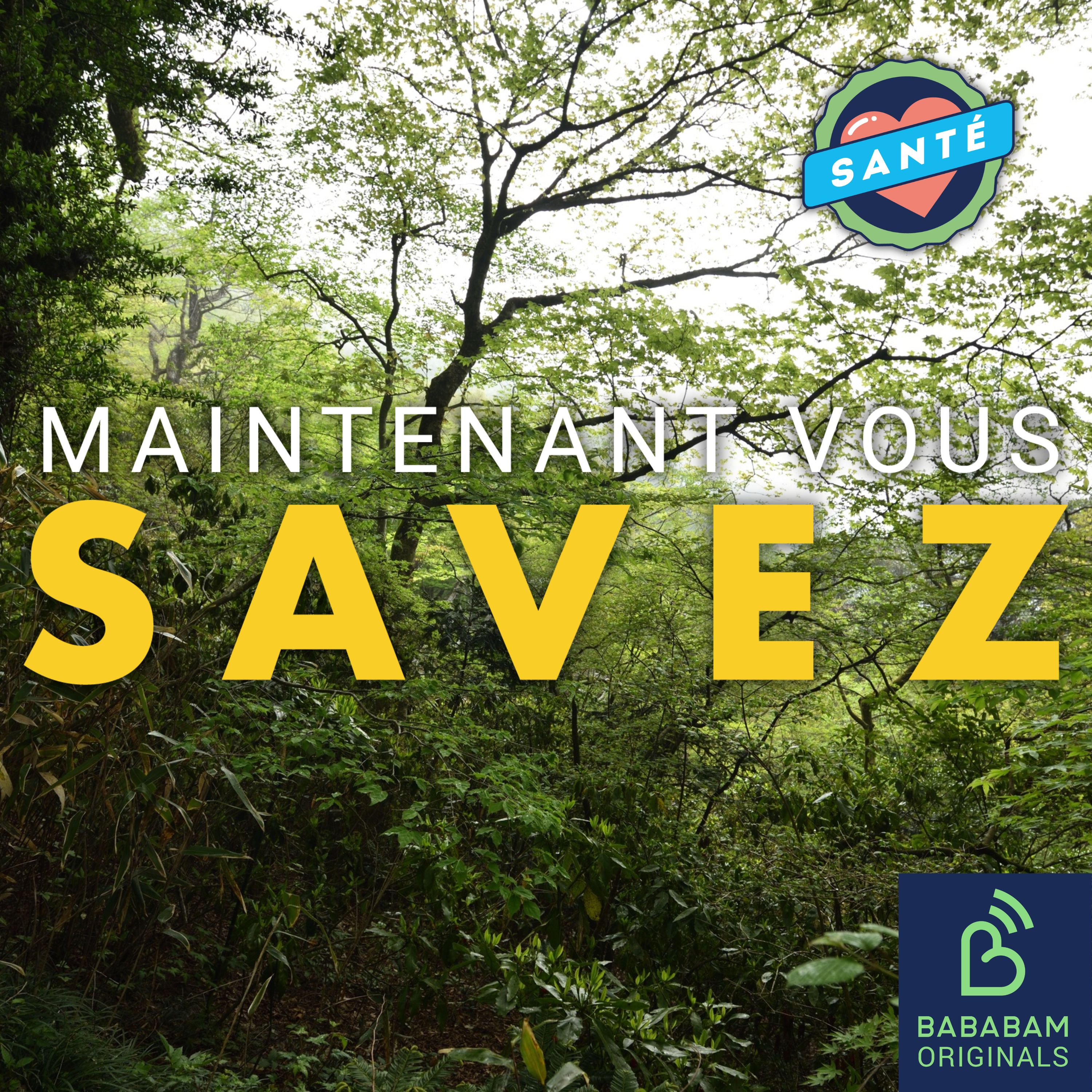 Pourquoi notre cerveau a-t-il besoin de nature ?