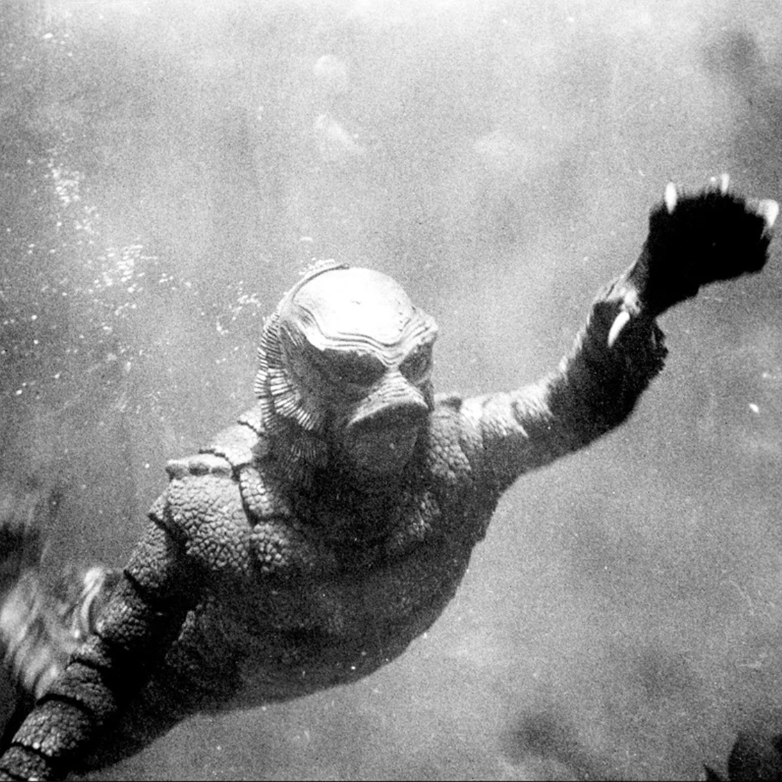 Revenge of the Creature (1955)