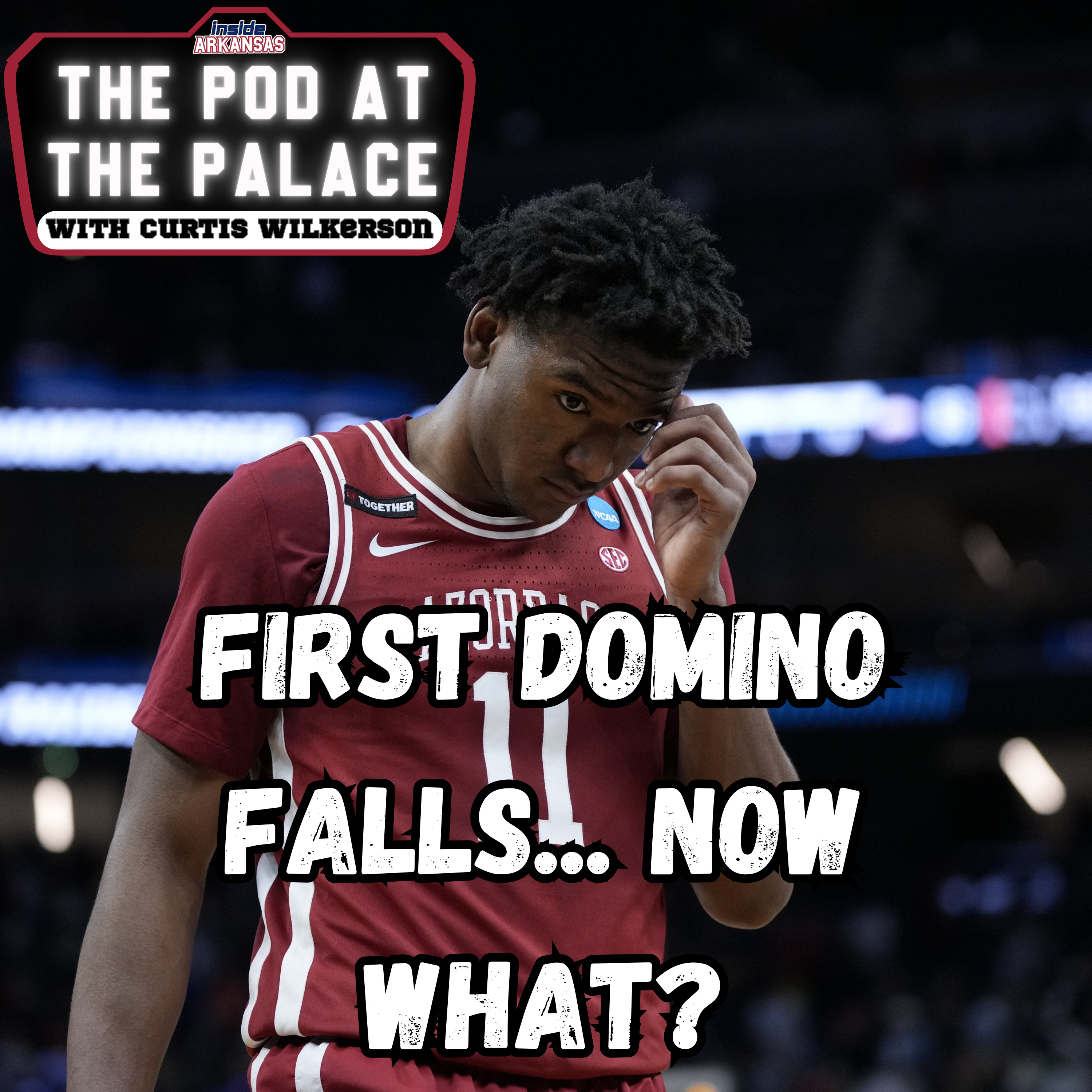 PATP AFTER DARK: Knox Becomes First Domino... Now What?