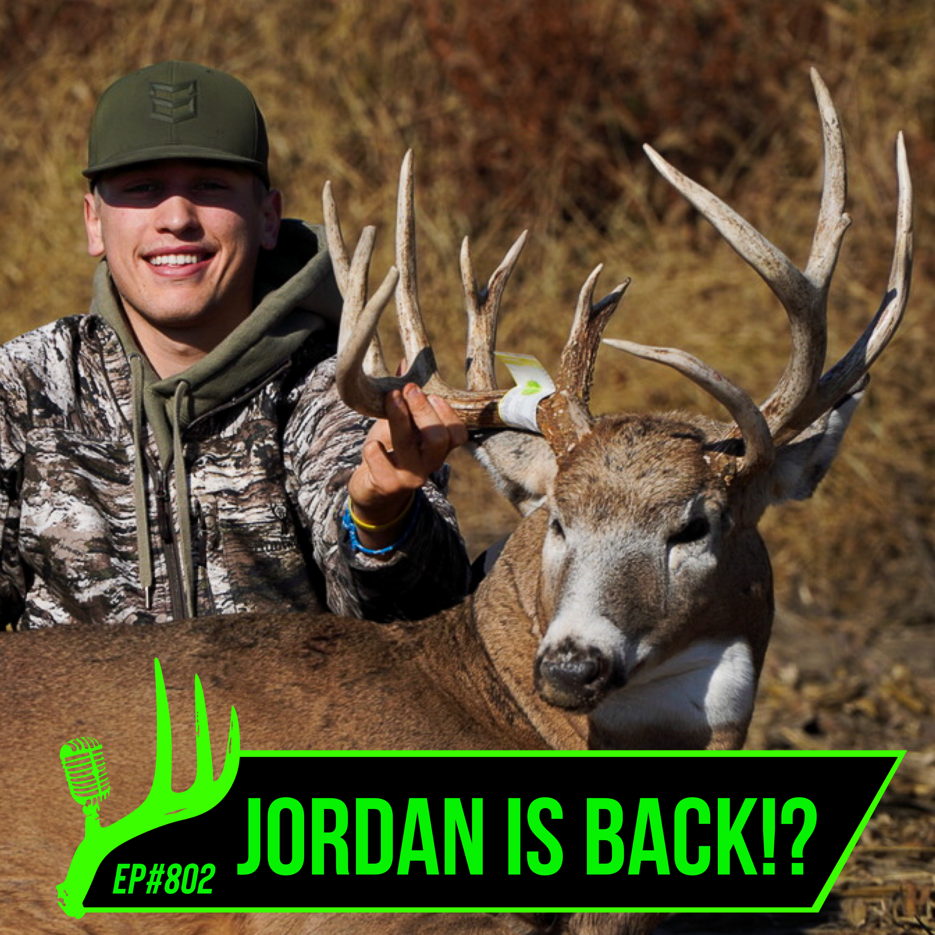 802 Jordan's Back!? episode artwork