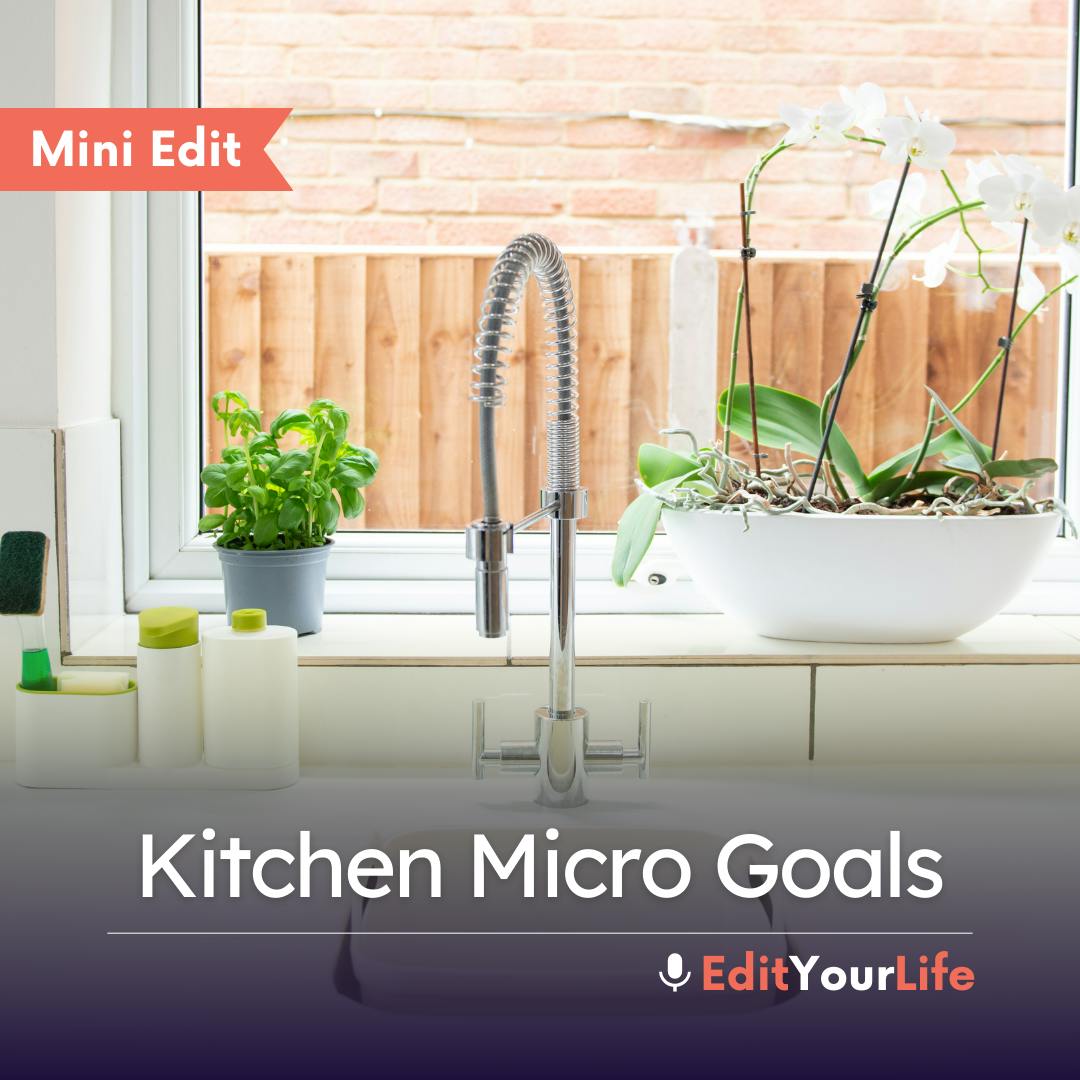 Mini Edit: Kitchen Micro Goals