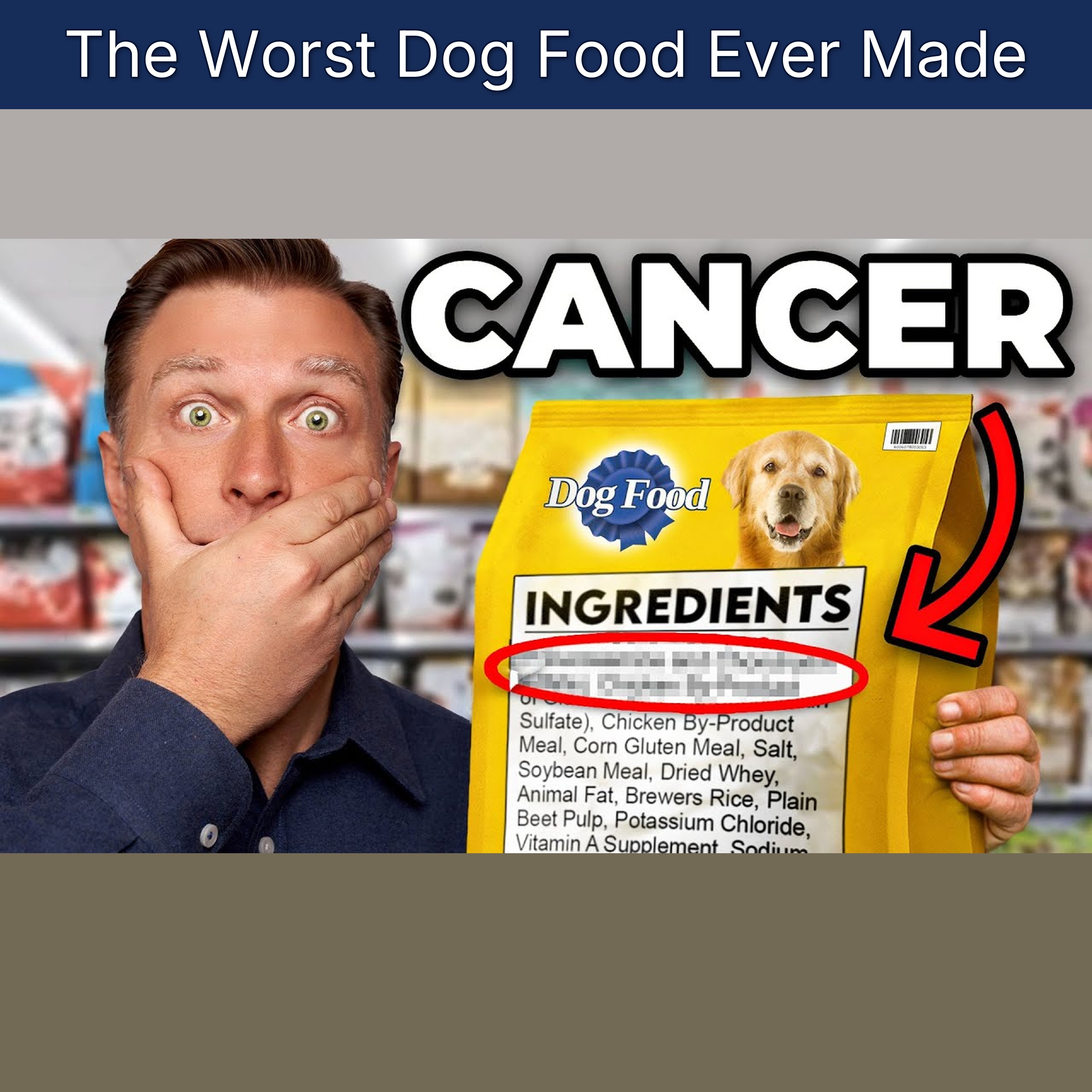 The Worst Dog Food Ever Made