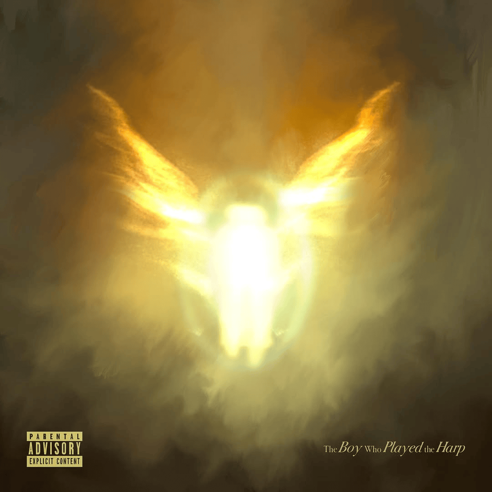 DAVE - THE BOY WHO PLAYED THE HARP