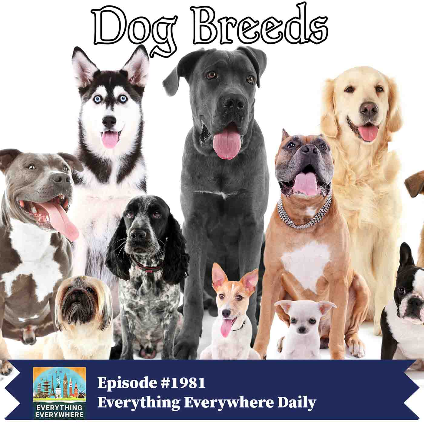 All About Dog Breeds
