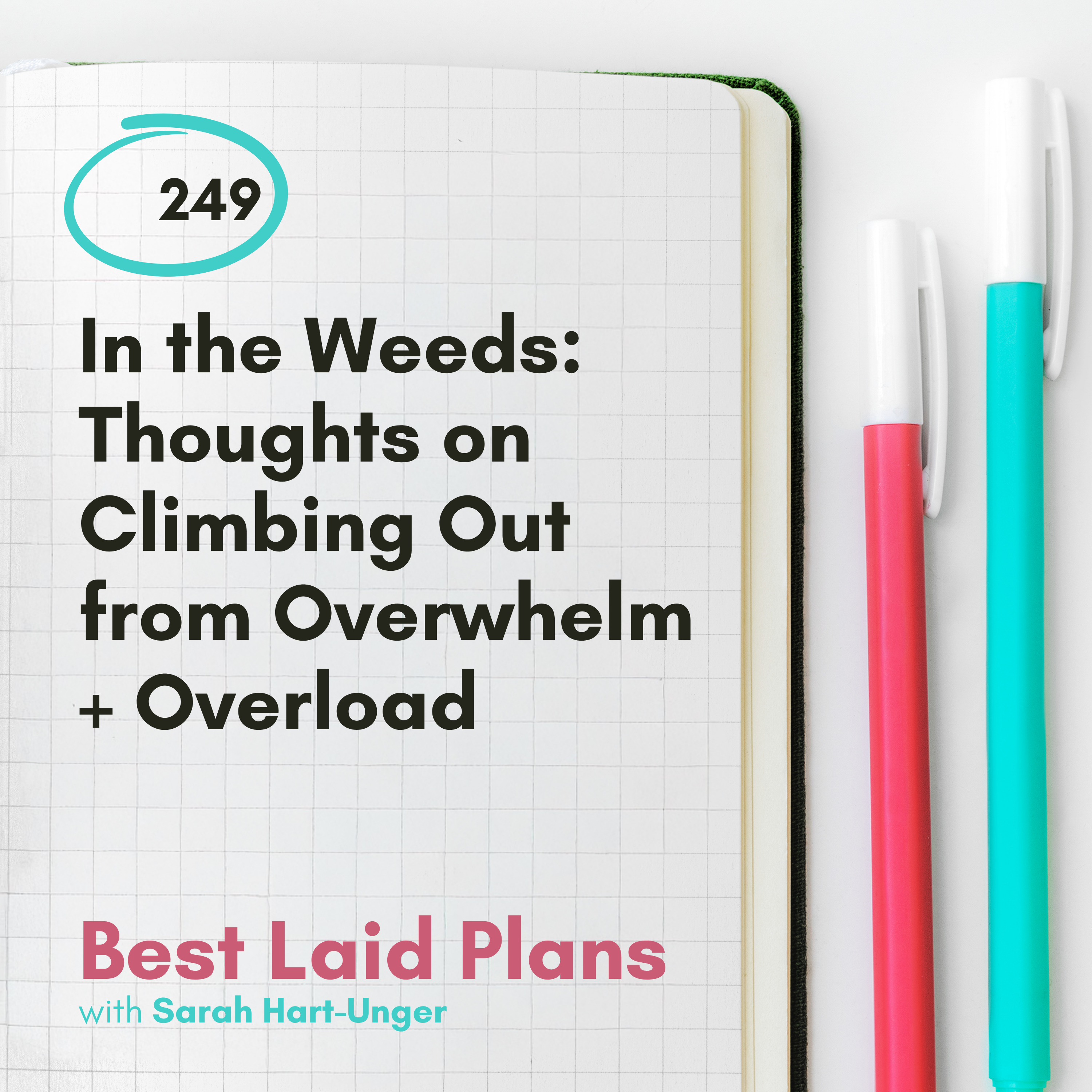 Best Laid Plans