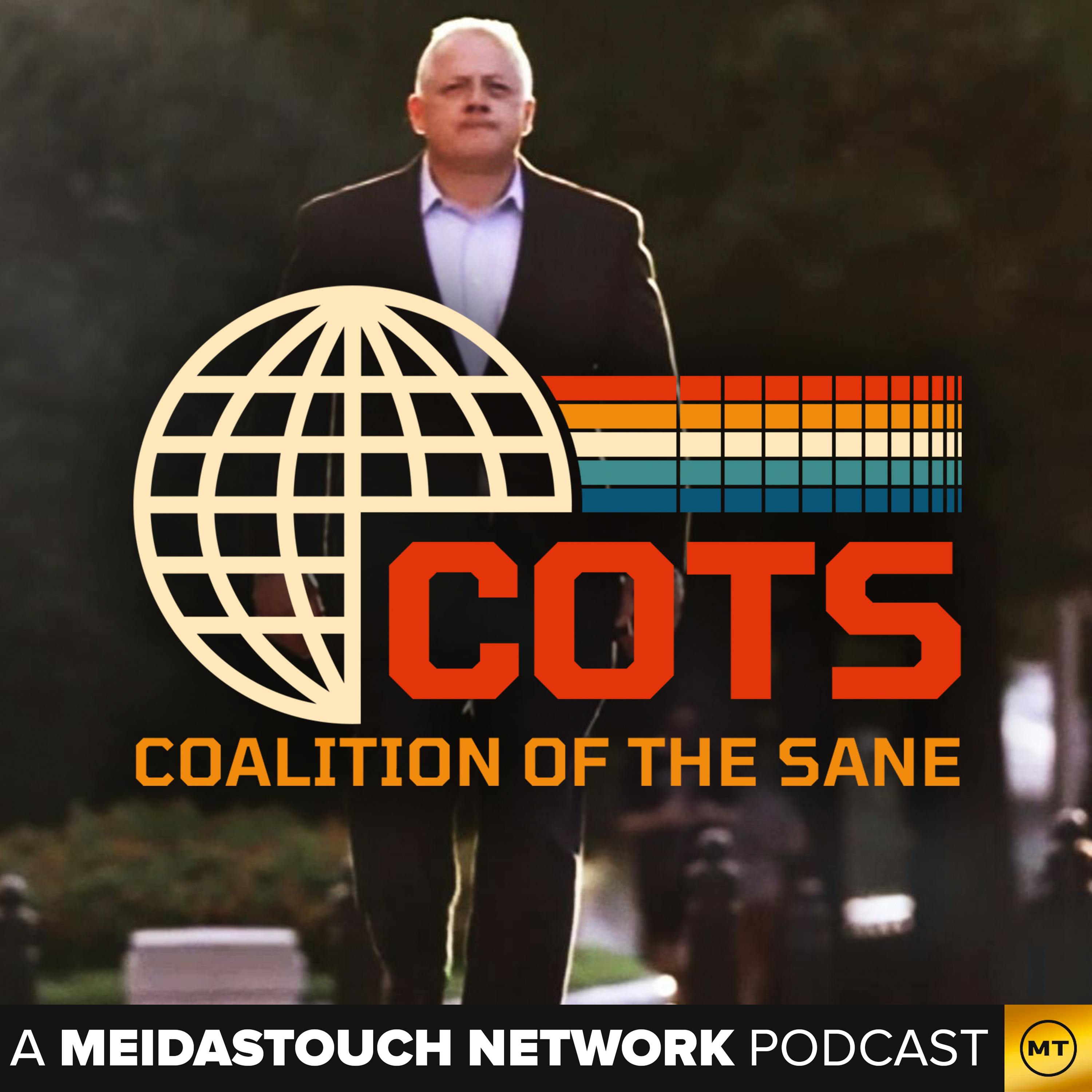 Coalition of the Sane by MeidasTouch Network