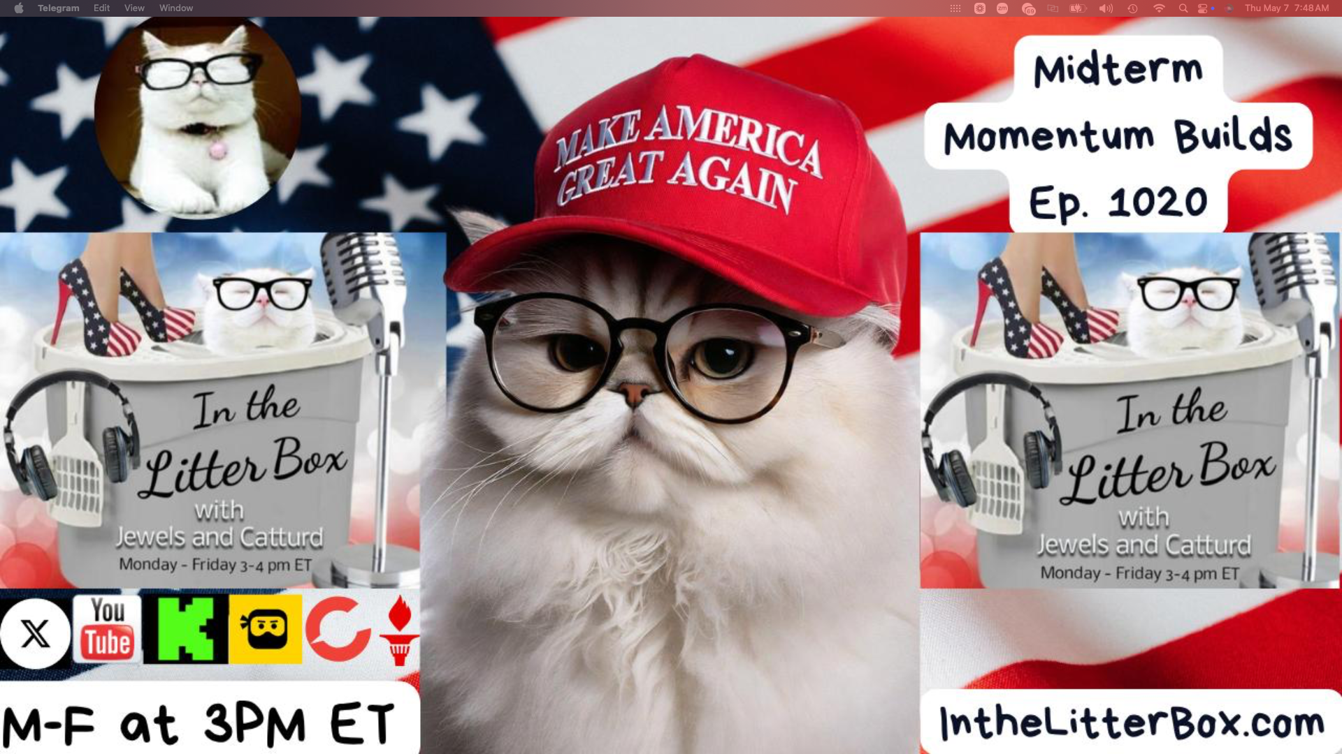 Midterm Momentum Builds | In the Litter Box w/ Jewels Jones & Catturd – Ep. 1020 5/7/2026
