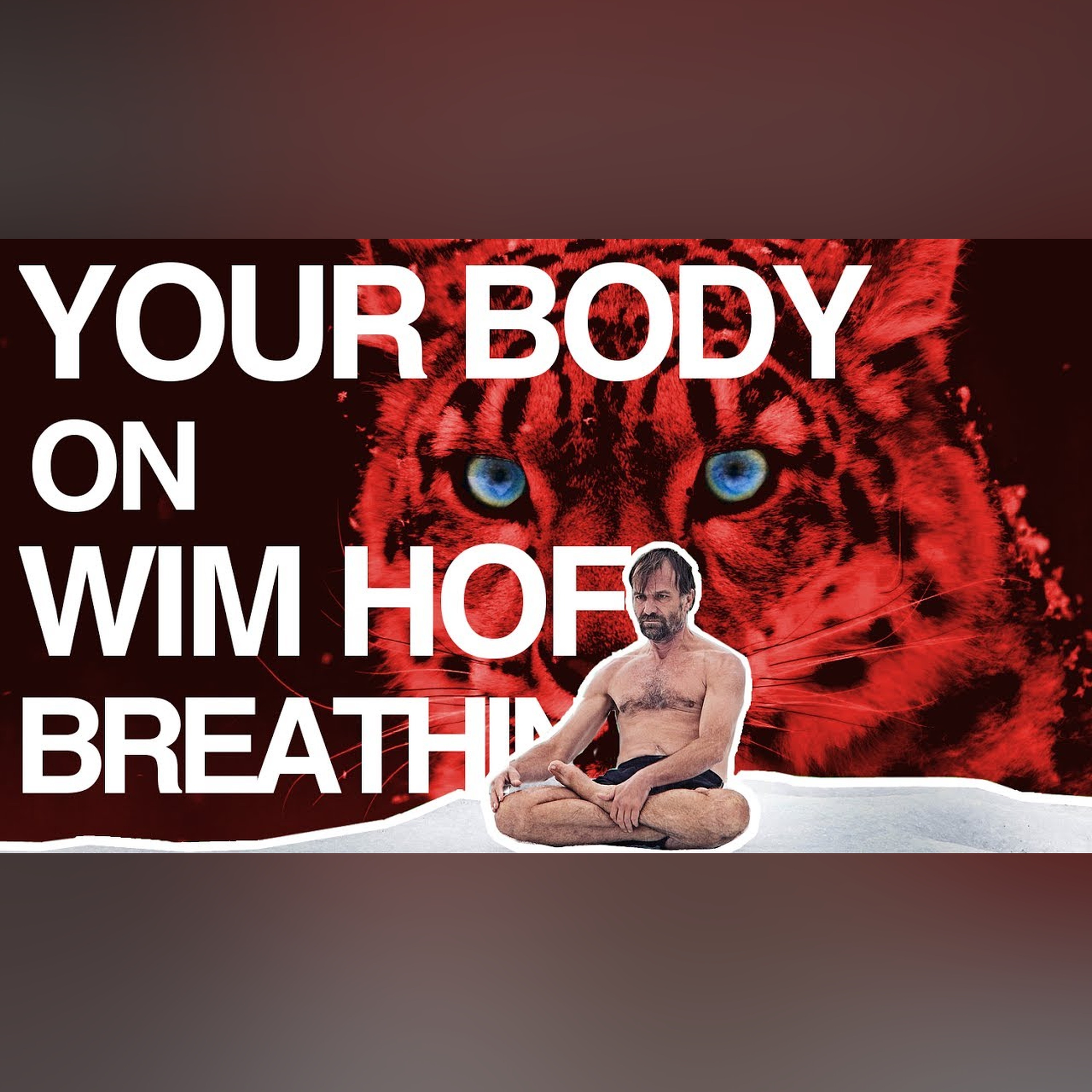 Control your Breath, Control your Body (Wim Hof Explained) episode artwork
