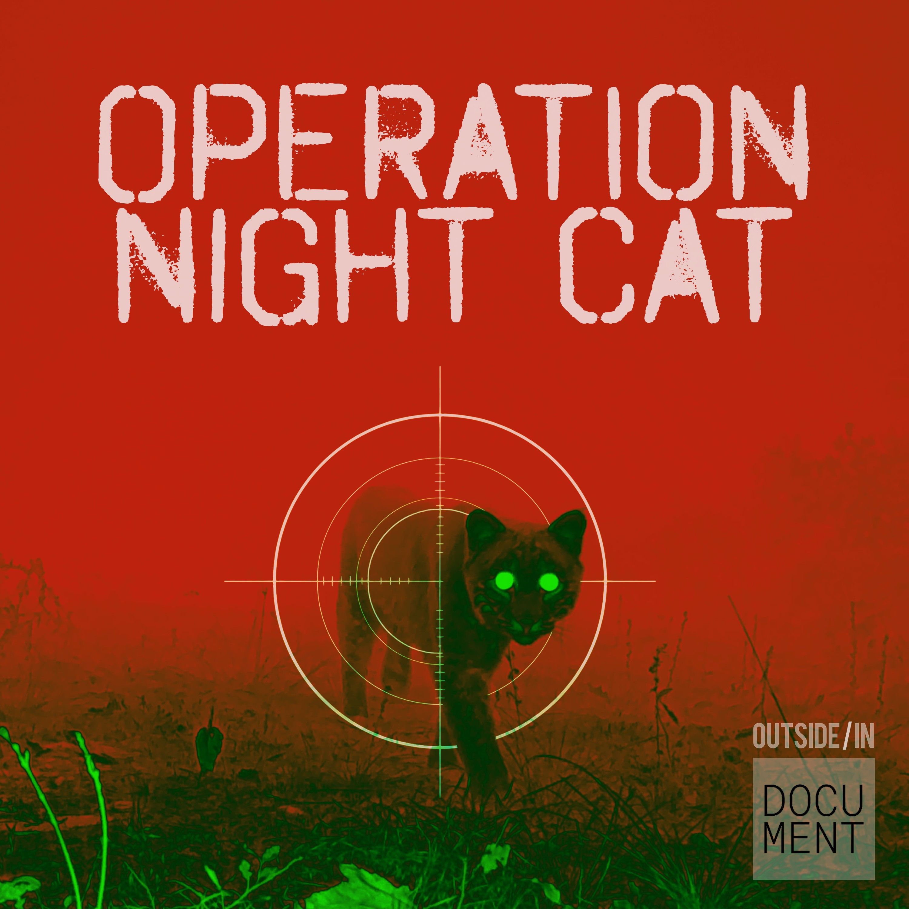 Introducing: Operation Night Cat