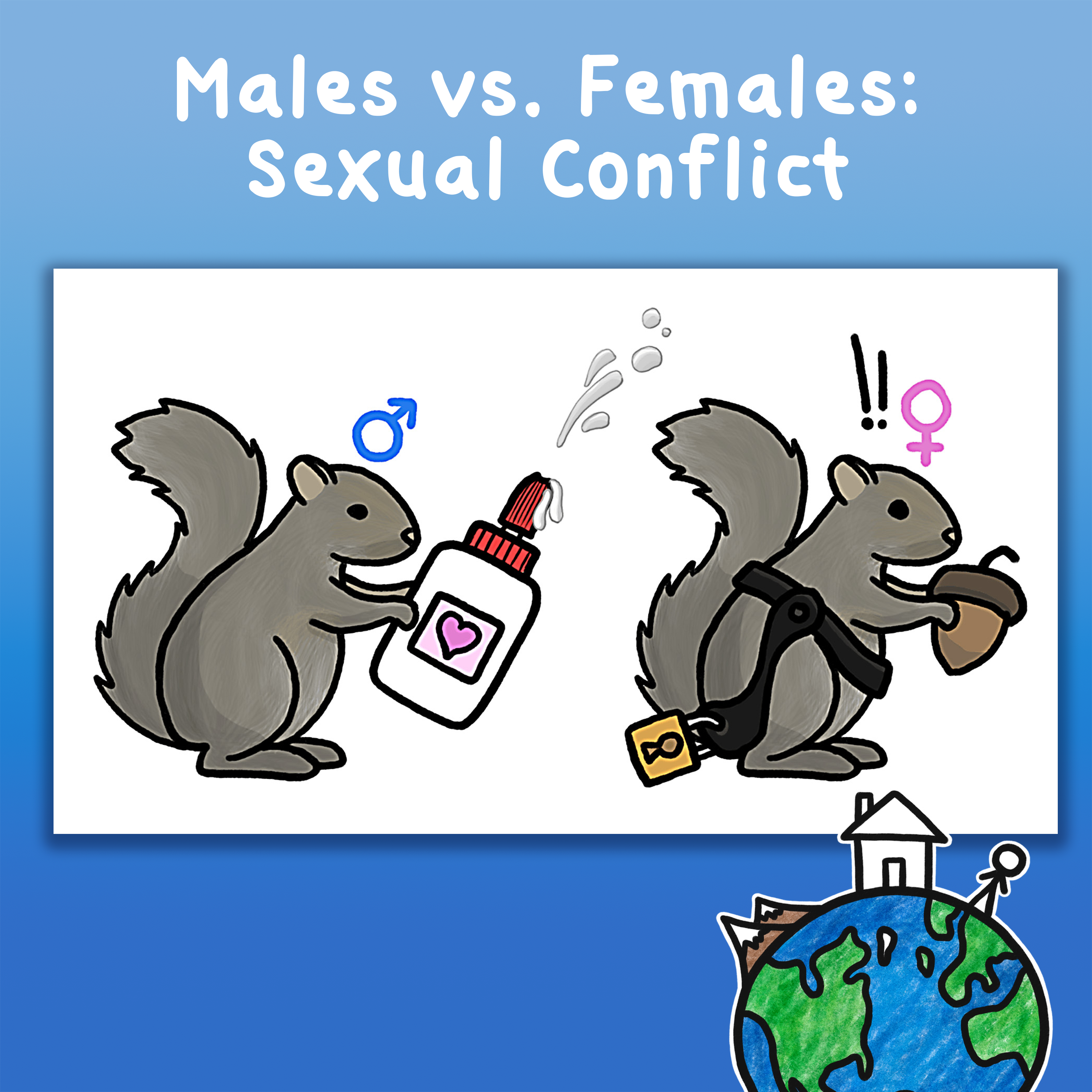 Males vs. Females: Sexual Conflict