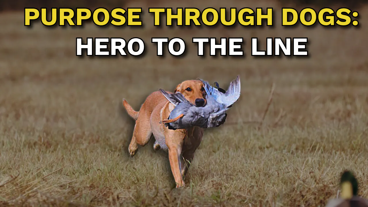 Heroes, Labs & the Line: How Dogs Help Vets Keep Moving Heroes, Labs & the Line: How Dogs Help Vets Keep Moving