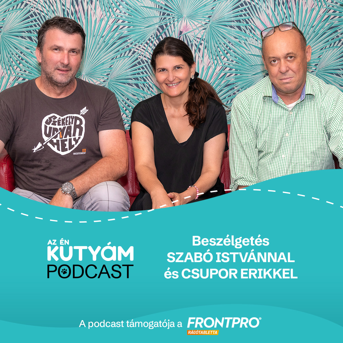 Kuvasz - valóban veszélyben van ez az ősi magyar fajta?