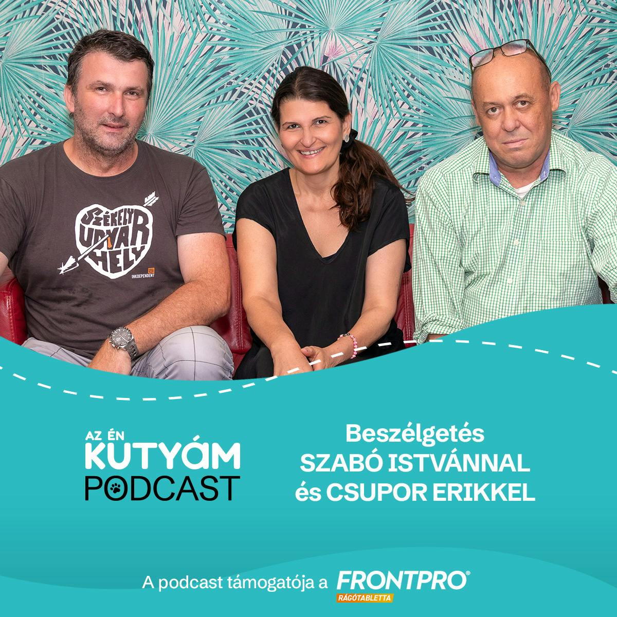Kuvasz - valóban veszélyben van ez az ősi magyar fajta? Kuvasz - valóban veszélyben van ez az ősi magyar fajta?