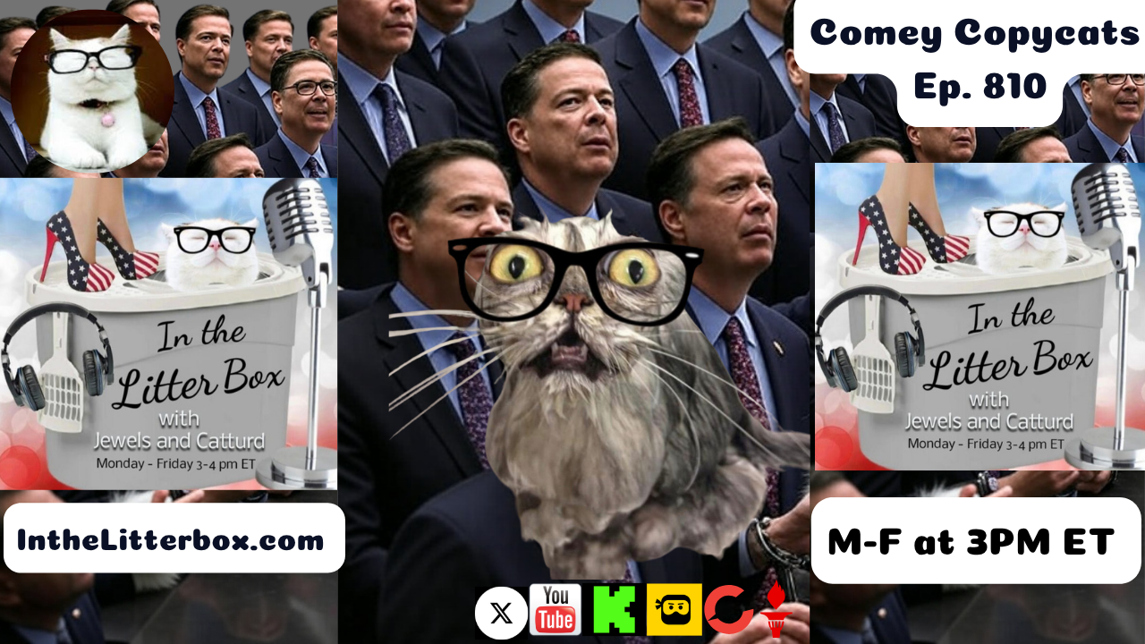 Comey Copycats | In the Litter Box w/ Jewels & Catturd – Ep. 810 – 5/29/2025