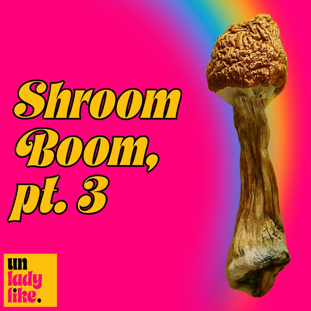 SHROOM BOOM 🍄, pt. 3: Psychedelic Therapy