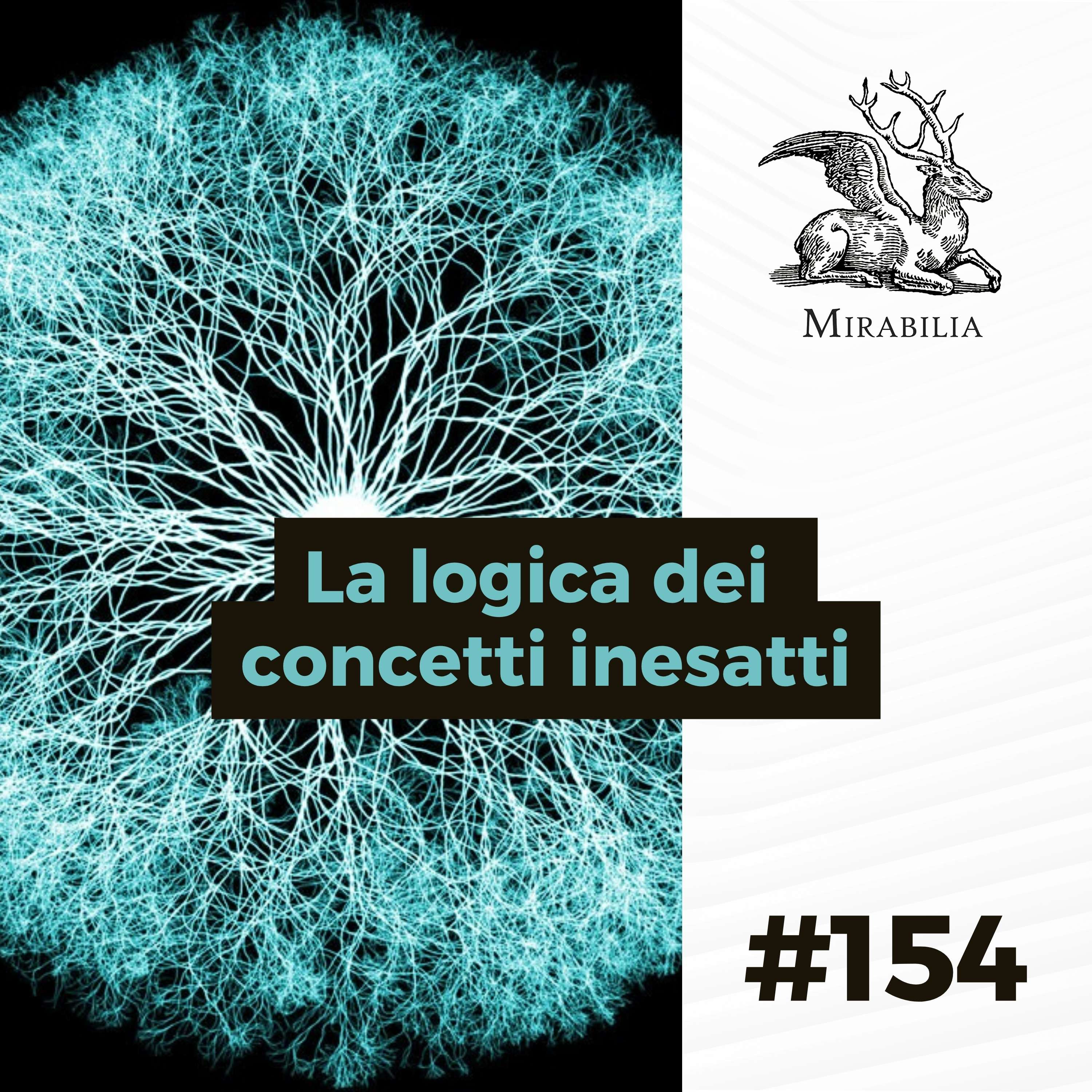 154. La logica dei concetti inesatti