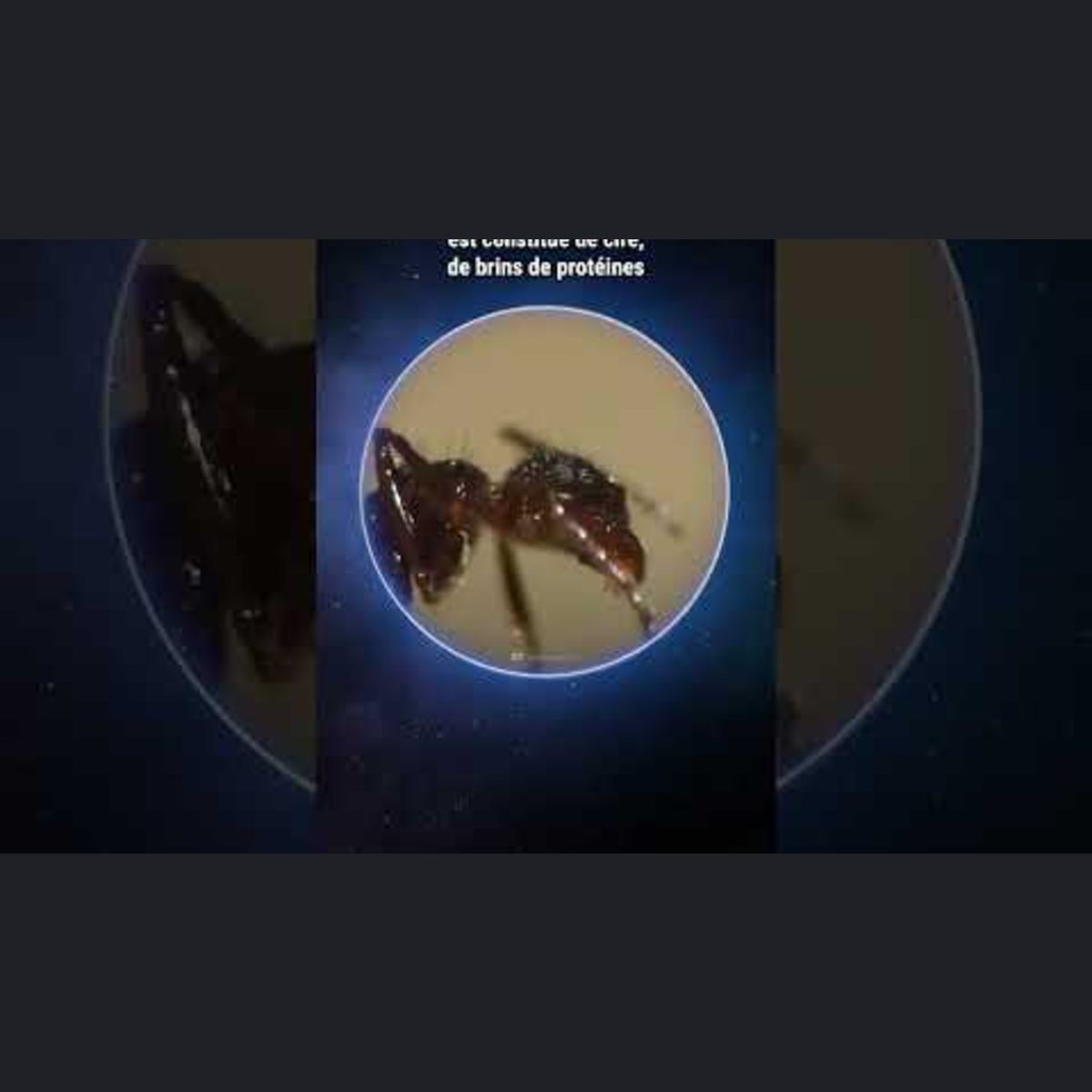 What If Français - Et Si