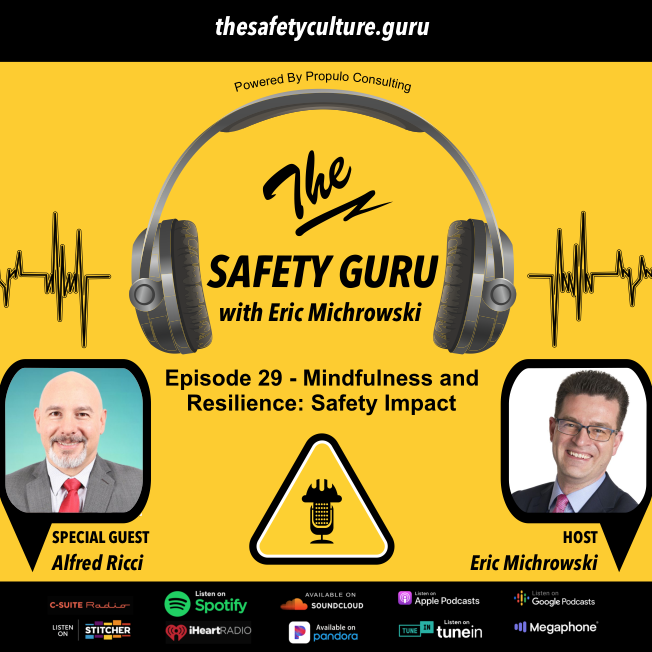 The Safety Guru