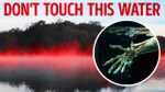 This Lake Looks Calm But Holds Dark Secrets episode artwork