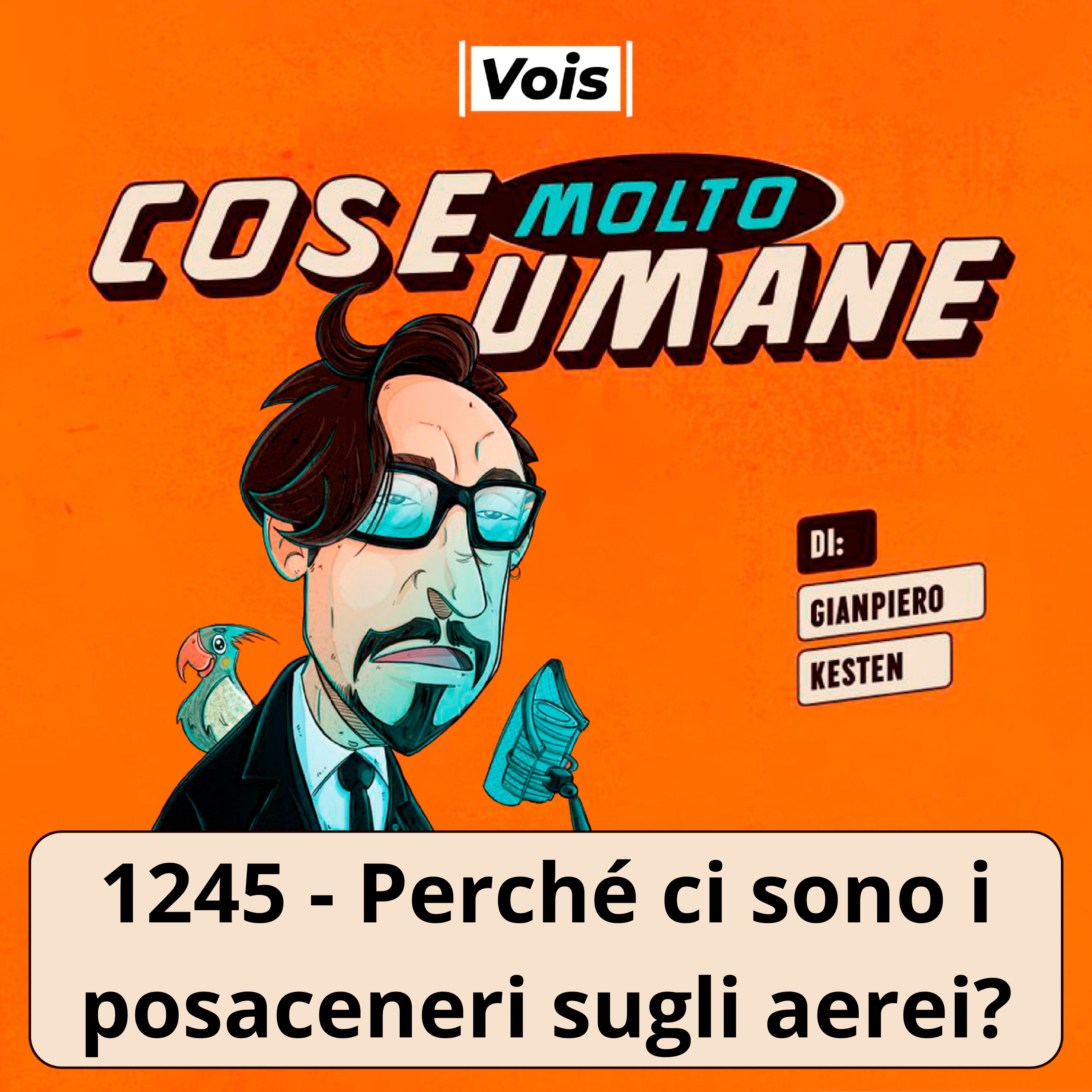 1245 - Perché ci sono i posaceneri sugli aerei?!