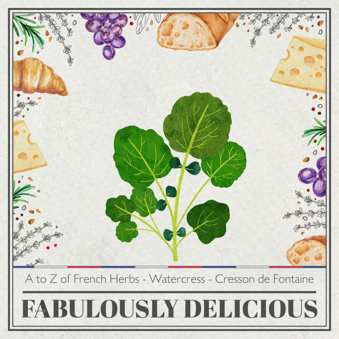 A to Z of French Herbs - Watercress - Cresson de Fontaine