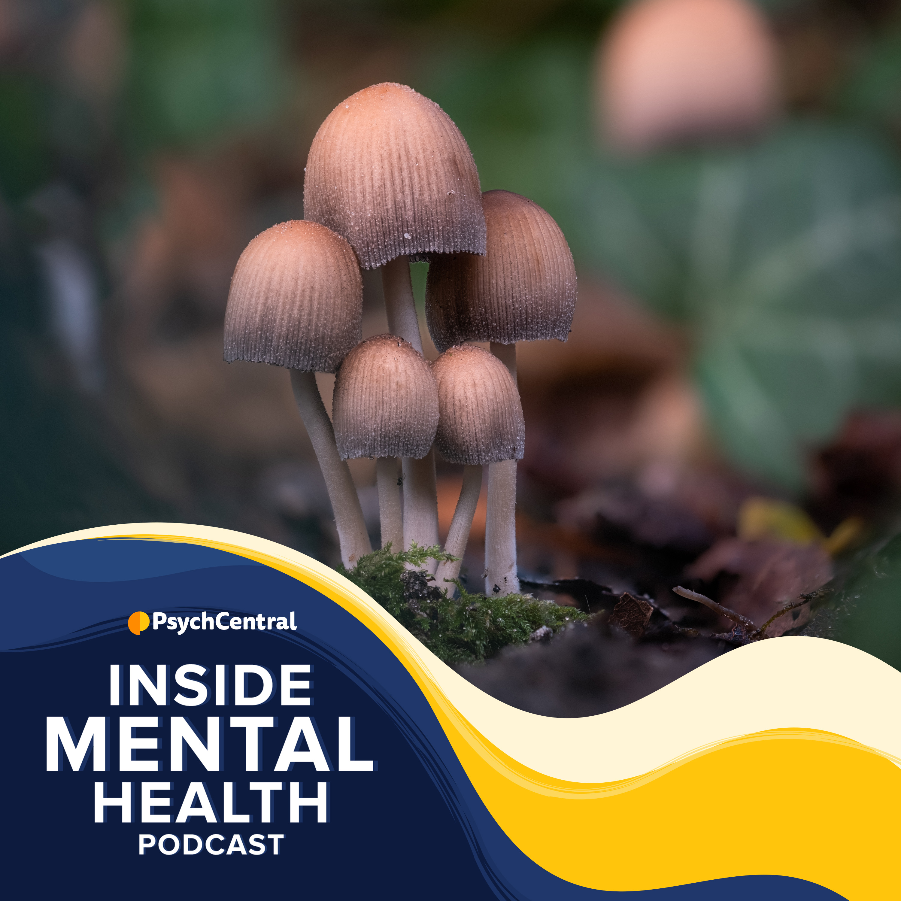 Understanding Psychedelics and Fantastic Fungi