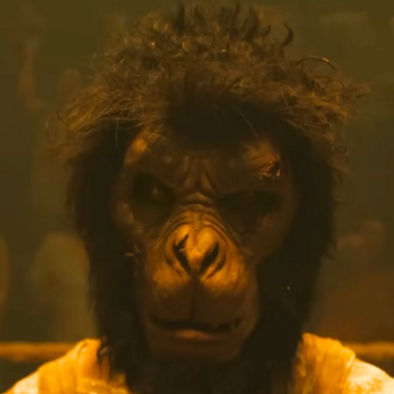 The Business of Film: Monkey Man, The First Omen & Road House episode artwork