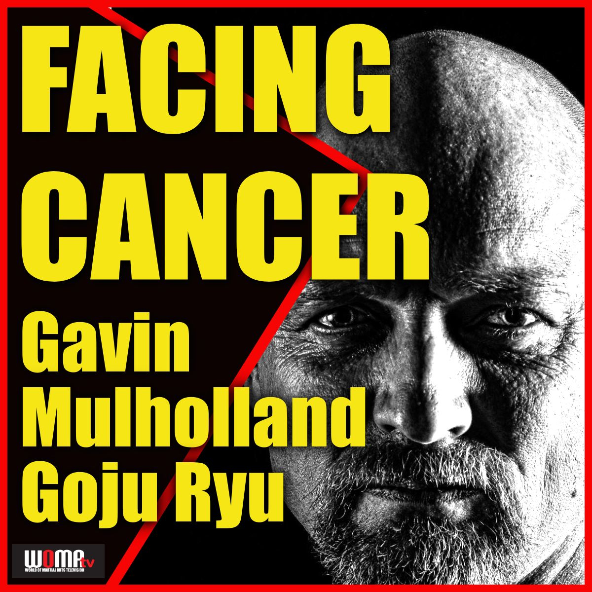 World of Martial Arts Show