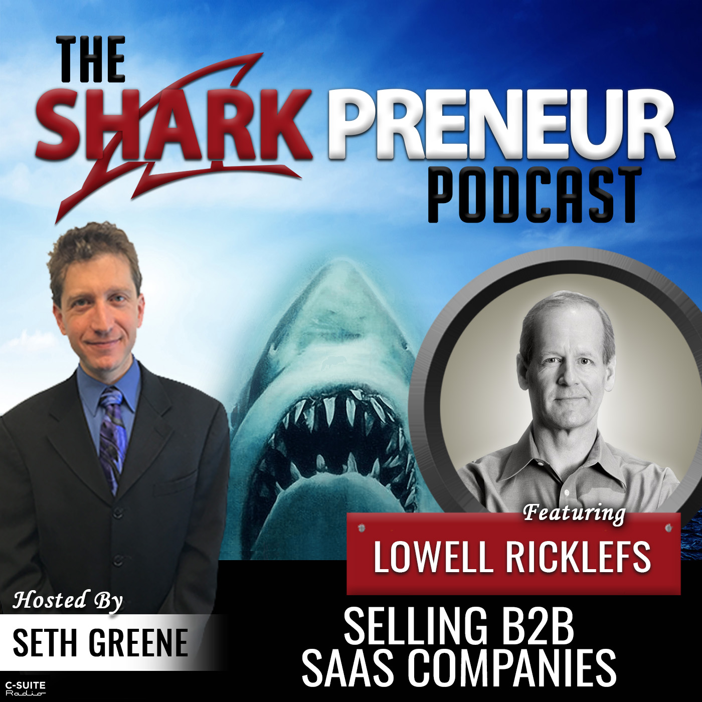 817: Selling B2B SaaS Companies with Lowell Ricklefs