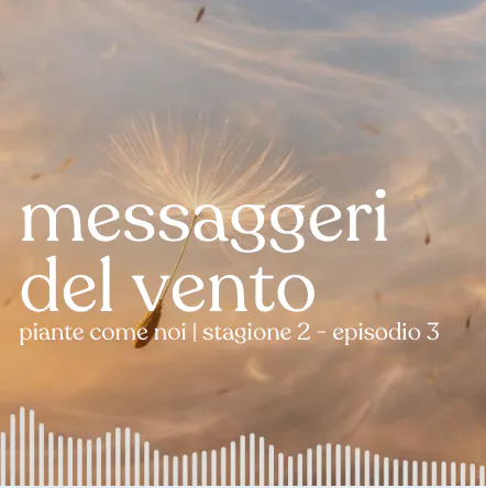 Messaggeri del vento - Stagione 2 | Episodio 3 episode artwork