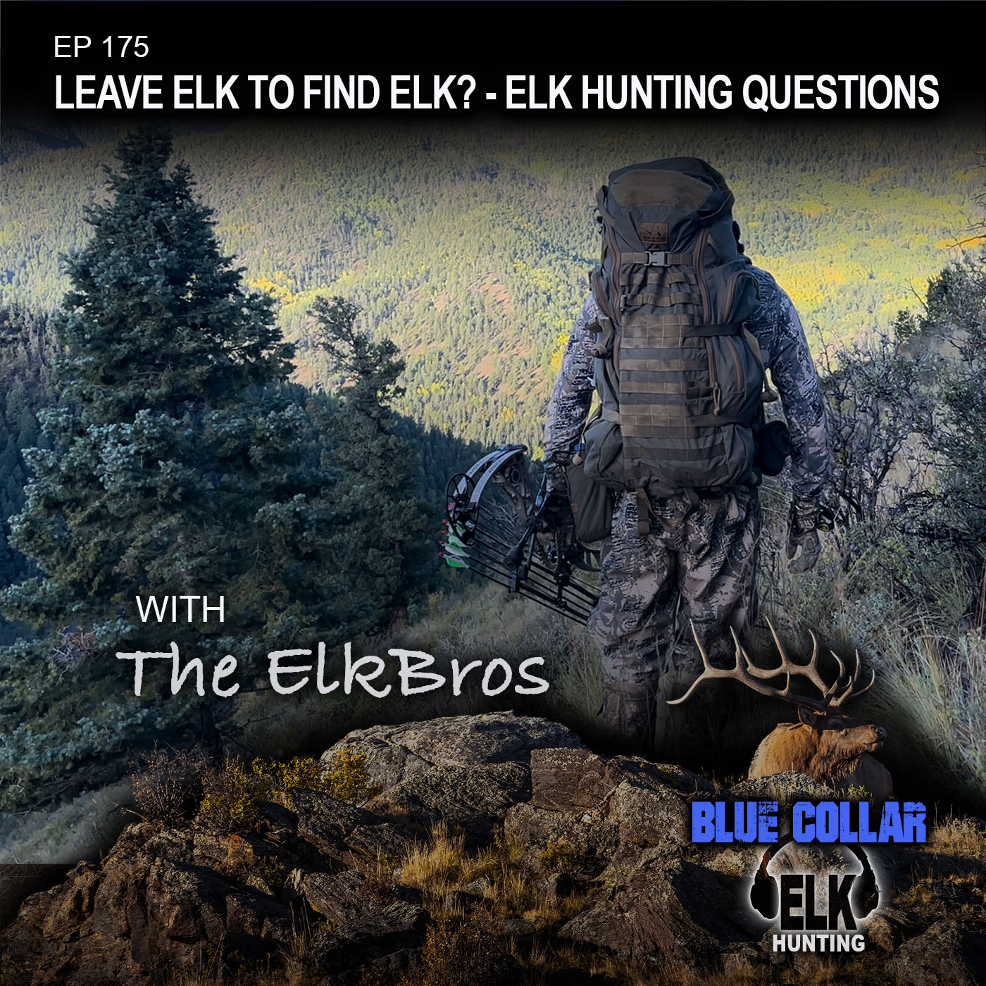 EP 175: Leaving Elk to Find Elk? -  Listener's Elk Hunting Questions episode artwork