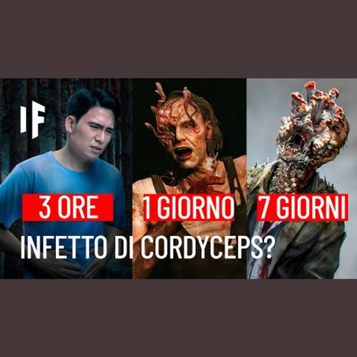 E se mangiassi il Cordyceps di "The Last Of Us"?  #TheLastOfUs #TheLastOfUsITA episode artwork