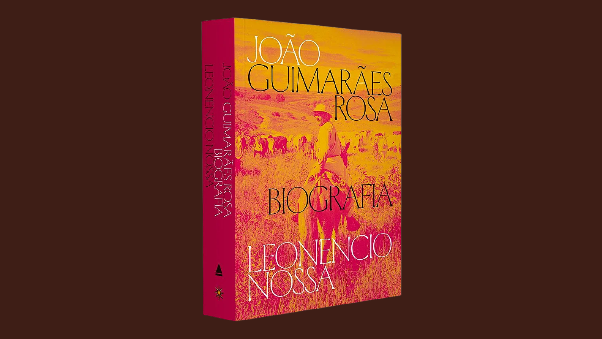 Guimarães Rosa ganha biografia após duas décadas de pesquisa