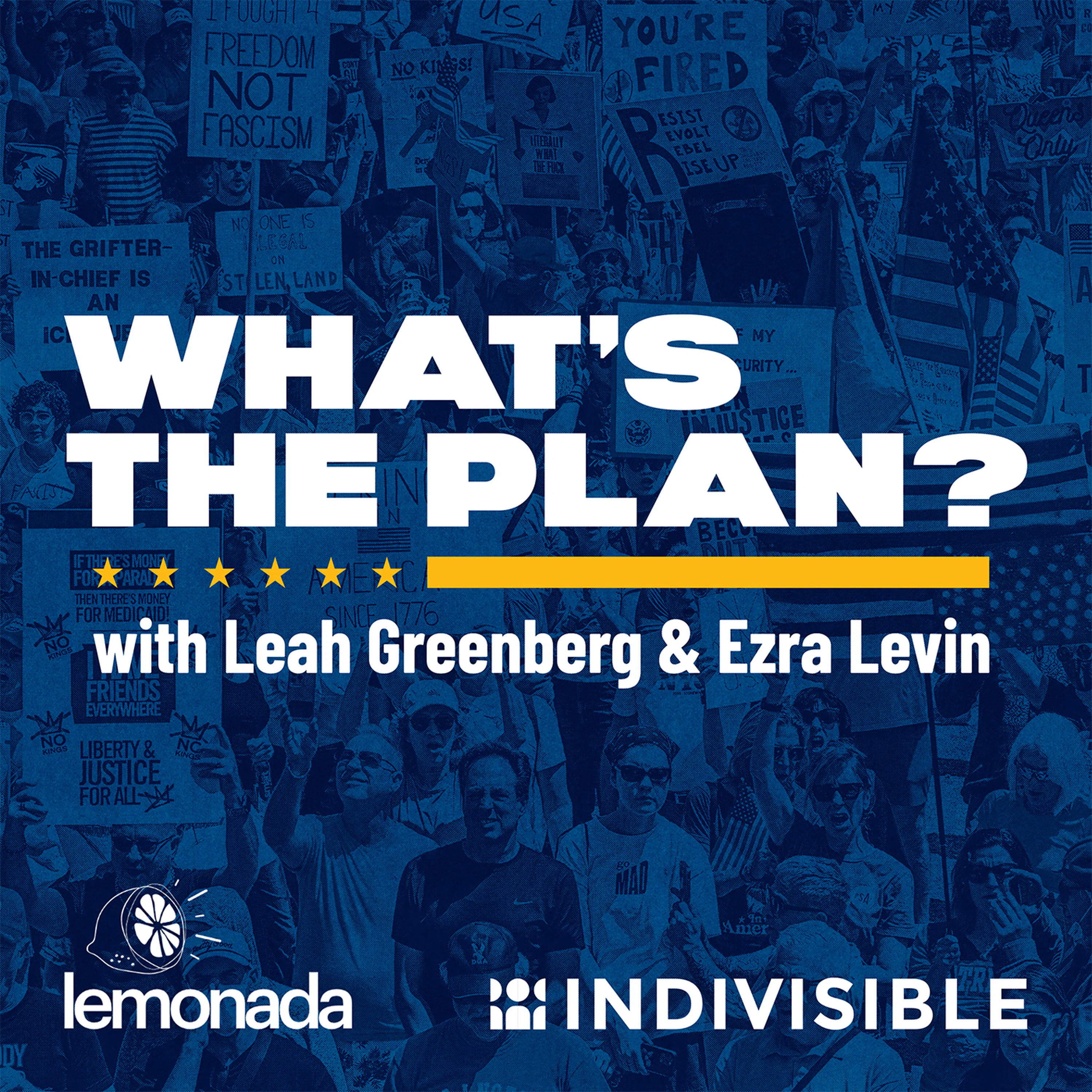 Artwork for What's The Plan? with Leah Greenberg and Ezra Levin