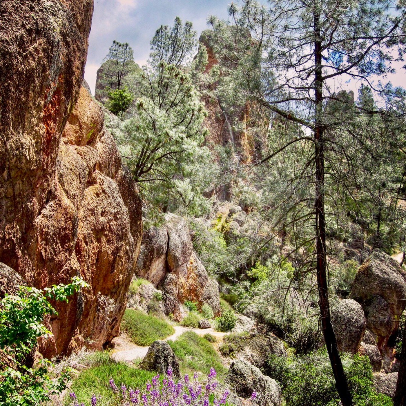 #79: Mailbag: Pinnacles National Park, and much more!