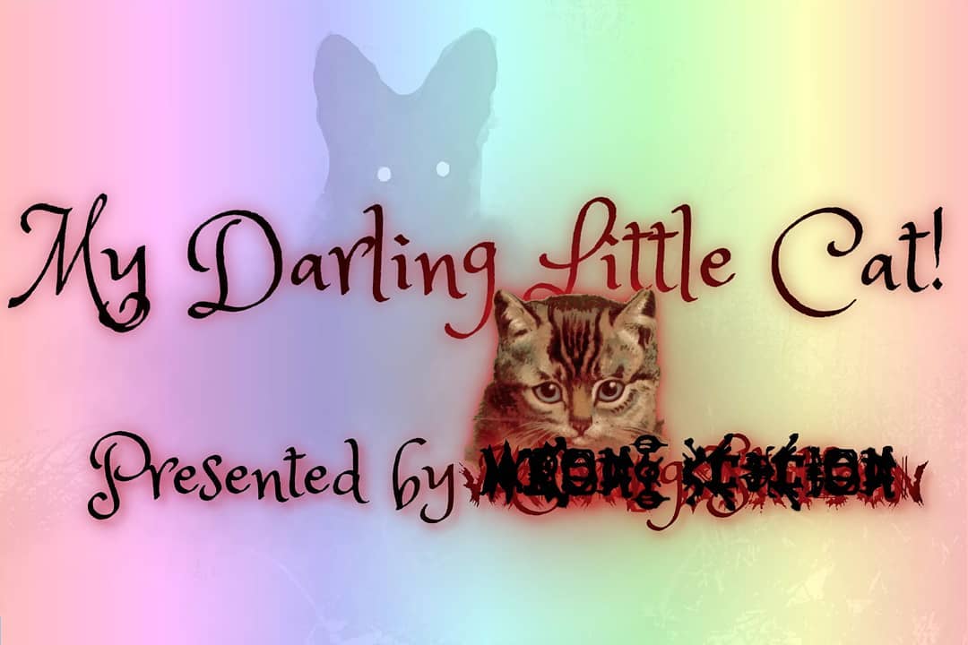 78 - My Darling Little Cat