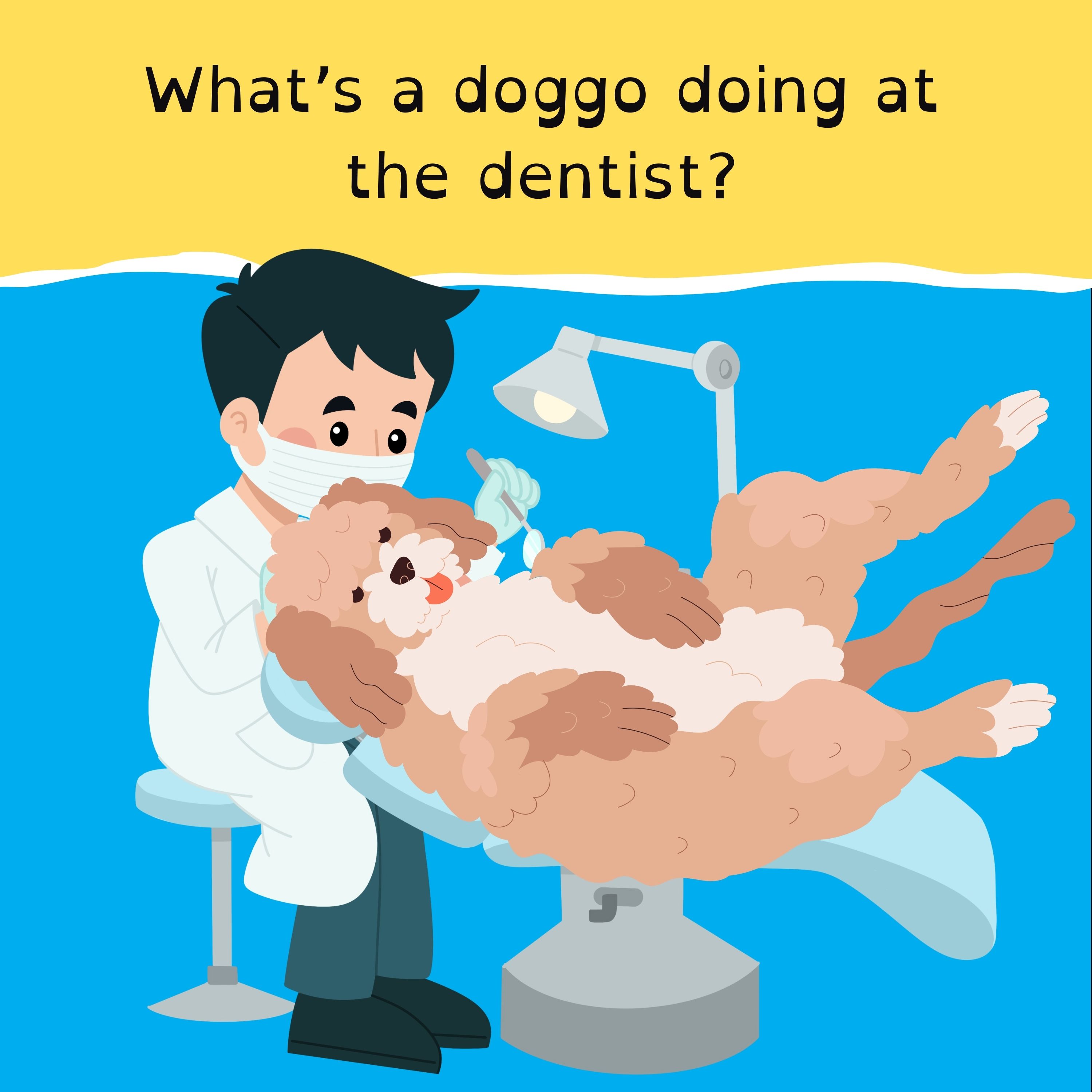 King Charles’ cancer diagnosis; a deadly disease is on the way out; doggo at the dentist; and it’s a Grammys wrap.