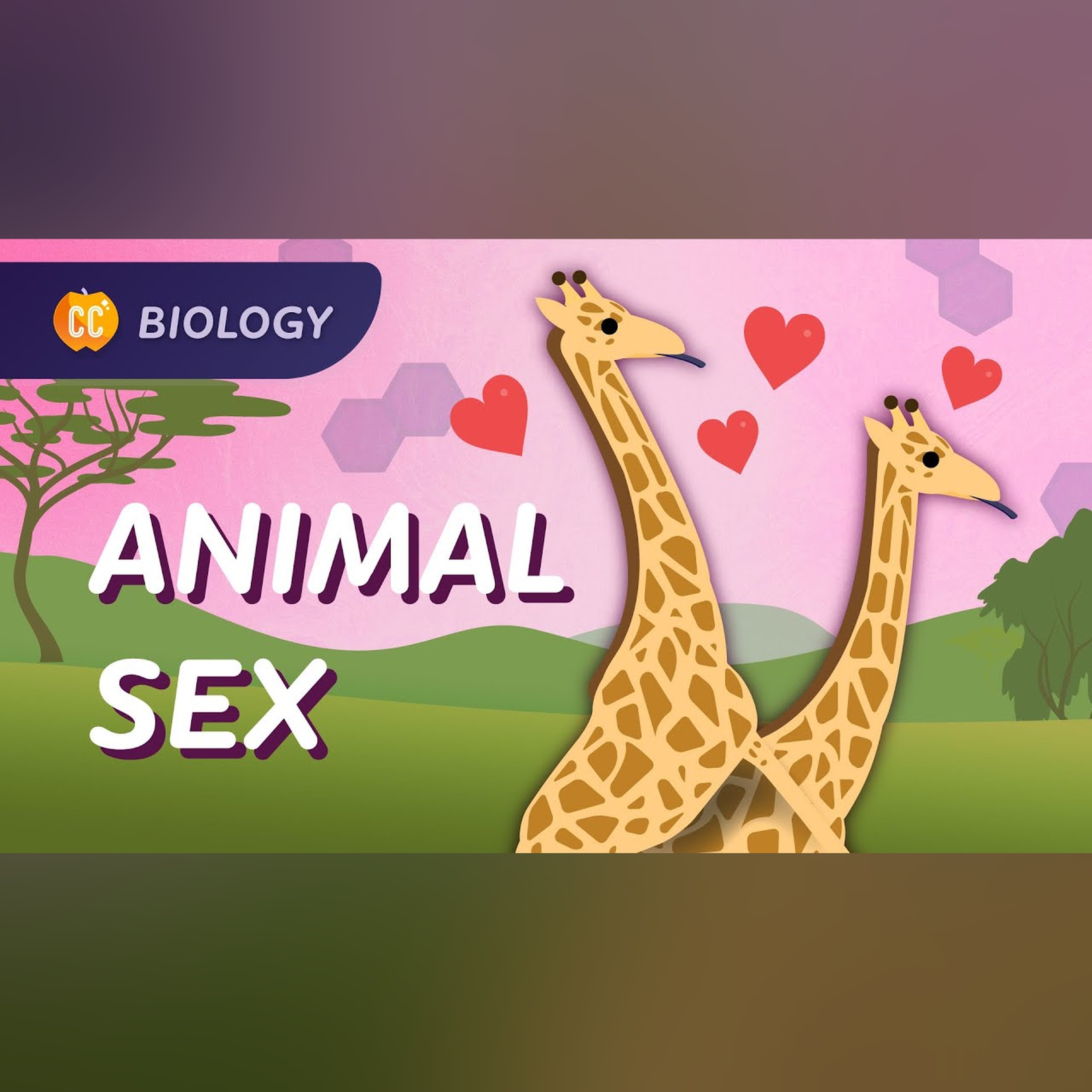 Sexual and Asexual Reproduction: How Animals Do It: Crash Course Biology #47