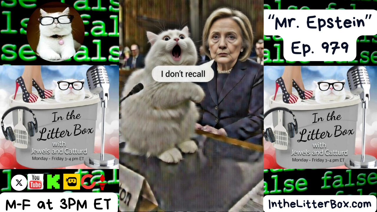 "Mr. Epstein" | In the Litter Box w/ Jewels Jones & Catturd – Ep. 979 – 2/27/2026