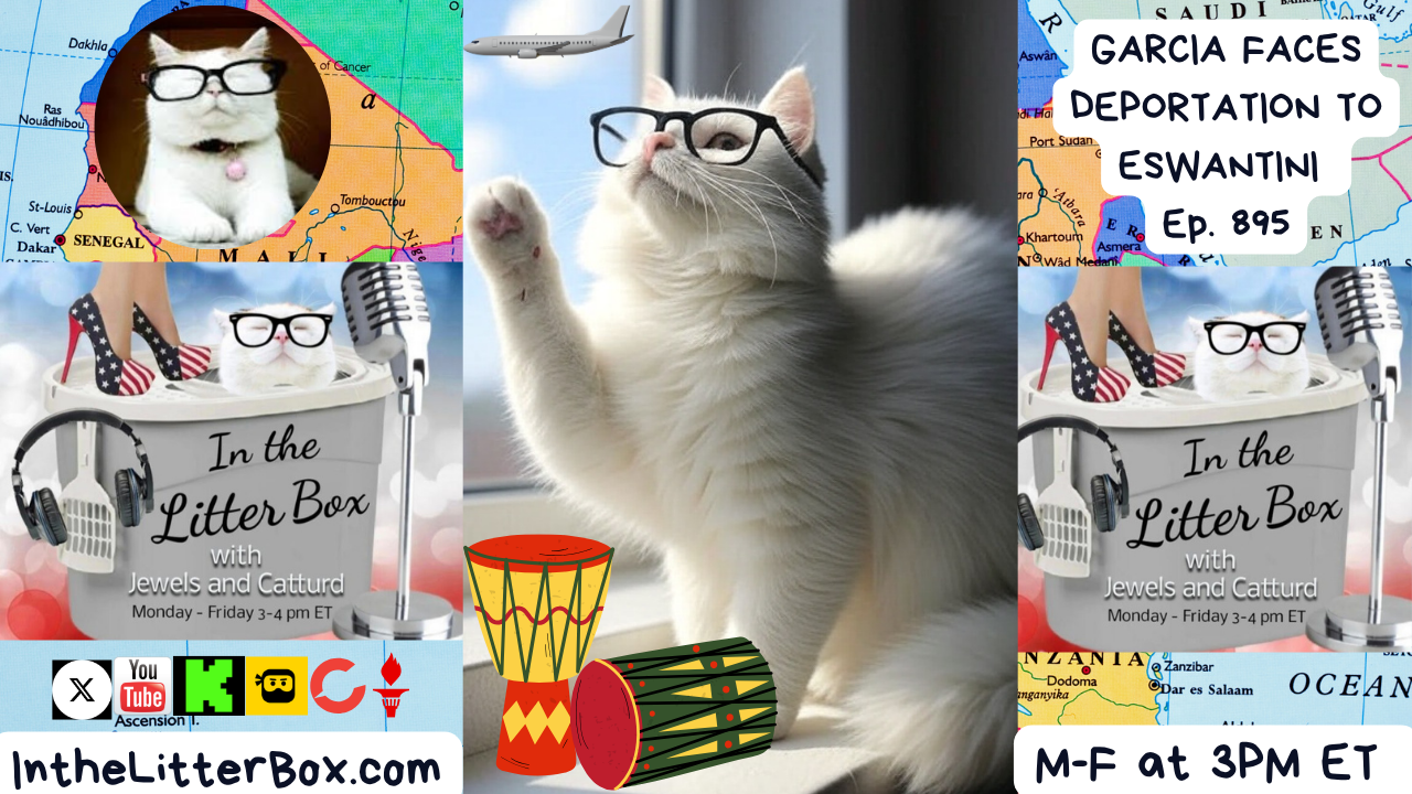 GARCIA FACES DEPORTATION TO ESWANTINI | In the Litter Box w/ Jewels & Catturd – Ep. 895 – 10/3/2025