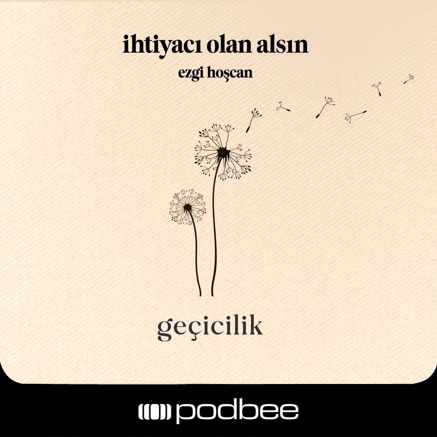 Geçicilik