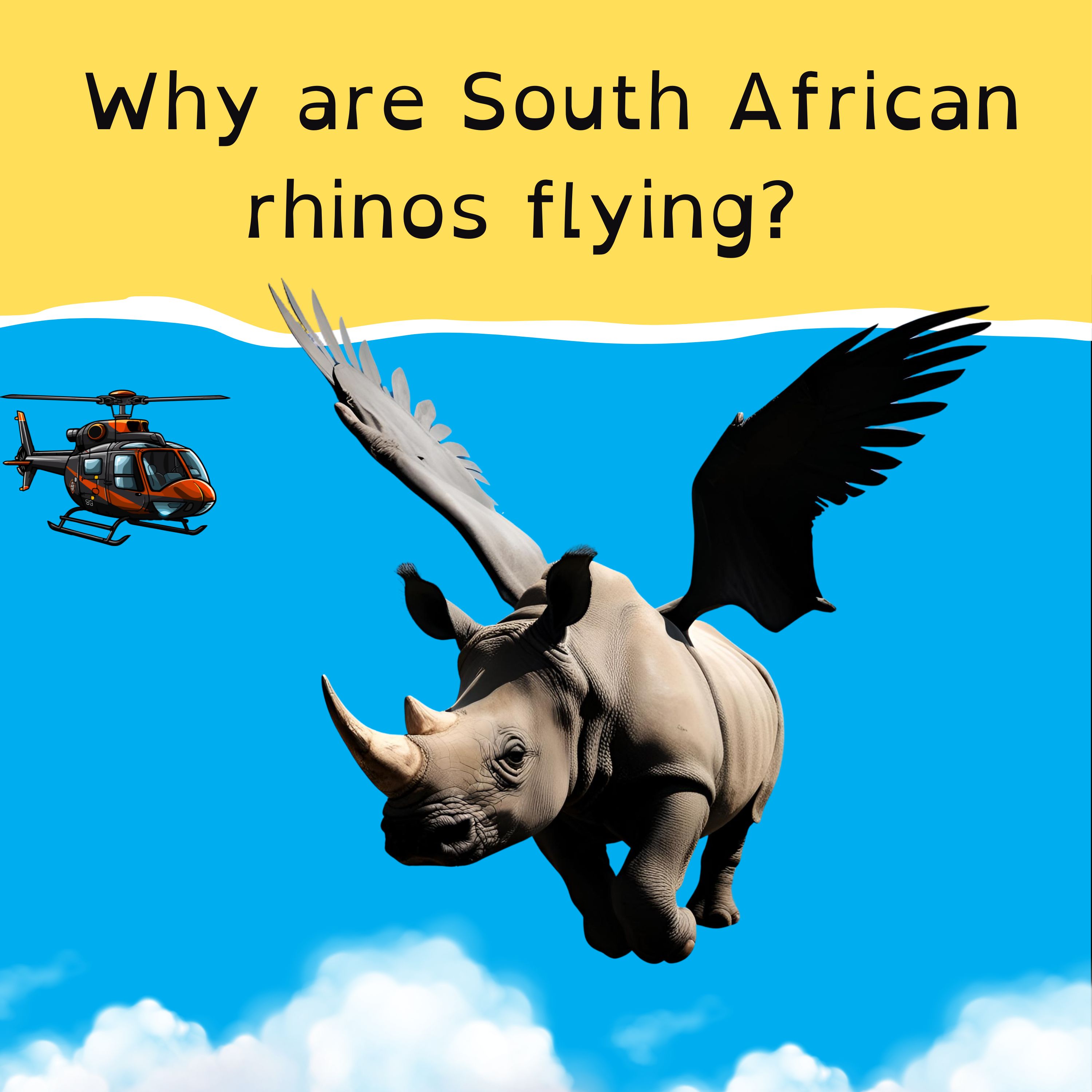 Queensland’s colossal flood, and South Africa’s flying rhinos.