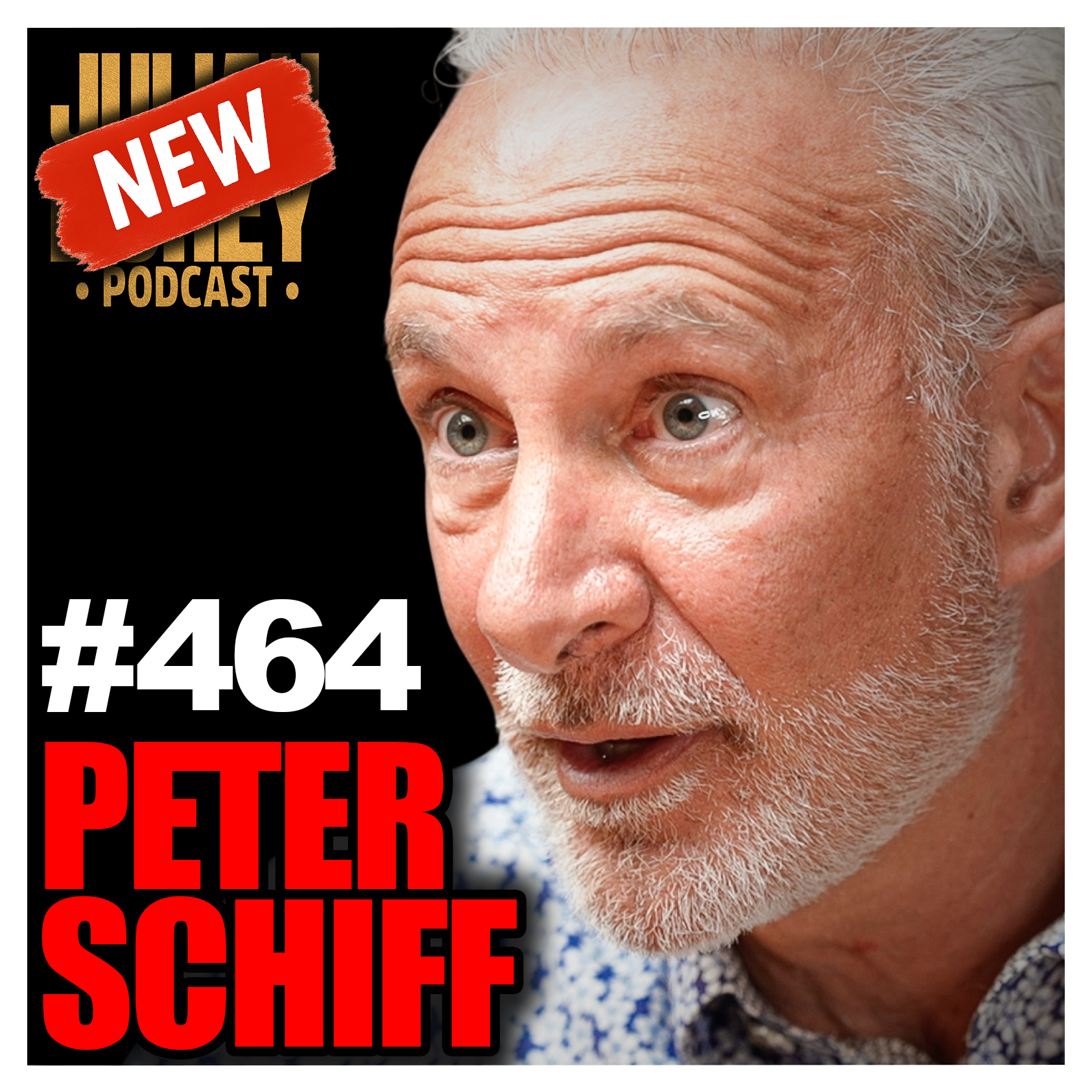 "WORSE than 2008!" - The Great CRASH is Happening | Peter Schiff • 464