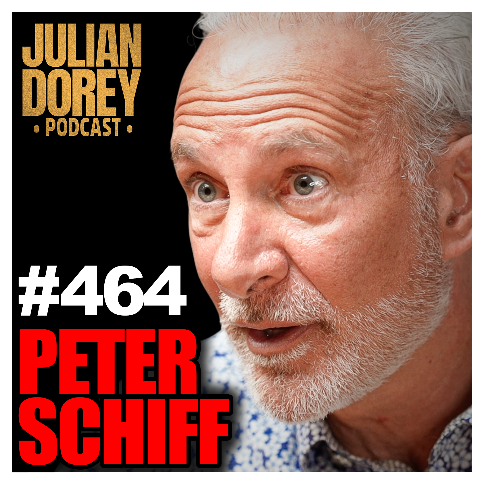 "WORSE than 2008!" - The Great CRASH is Happening | Peter Schiff • 464