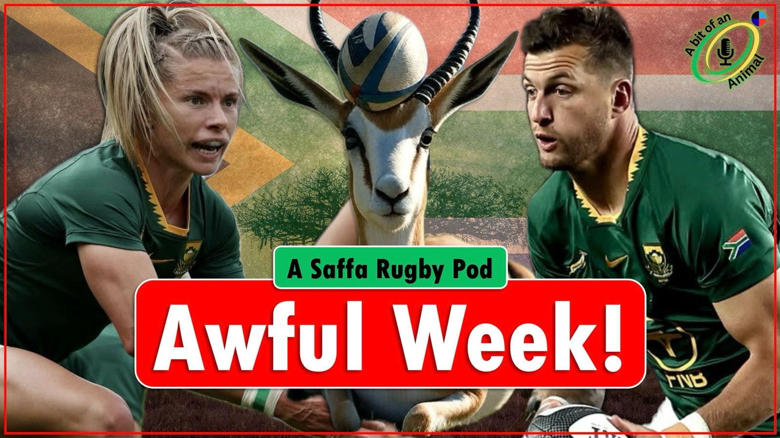 What a week for South African Rugby! What a week for South African Rugby!
