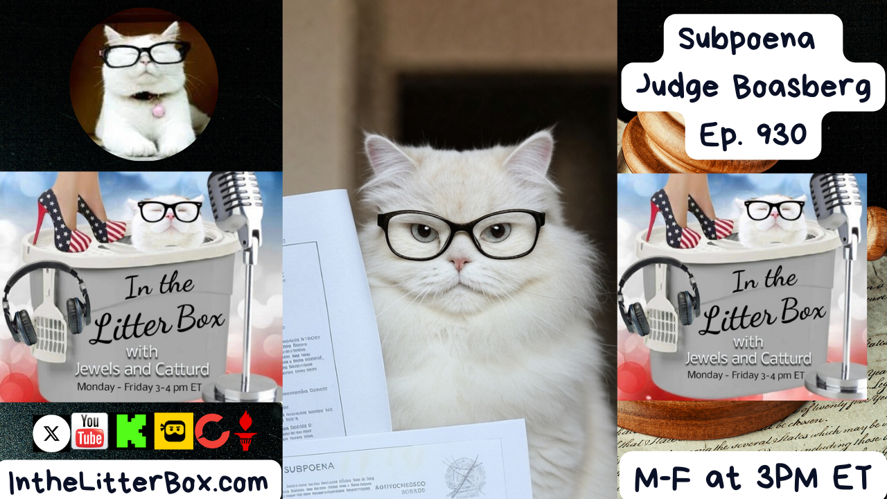 Subpoena Judge Boasberg | In the Litter Box w/ Jewels & Catturd – Ep. 930 – 12/3/2025