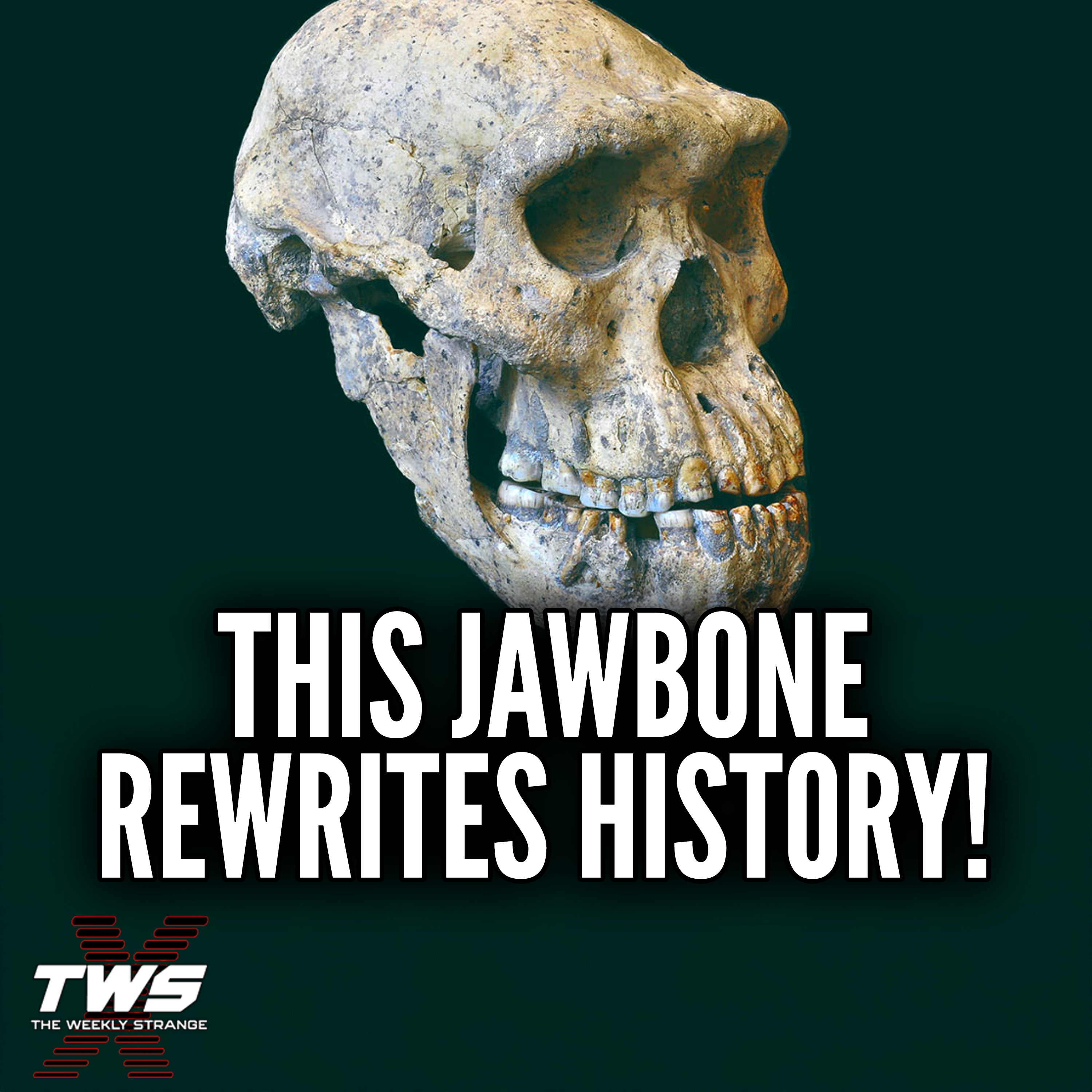 1.8 Million-Year-Old Human Jawbone Is Rewriting Human History THE WEEKLY STRANGE Episode 38 episode artwork